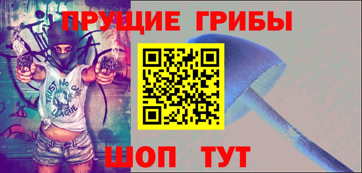 Партизанск  Галлюциногенные грибы прущие грибы  Вход с VPN 